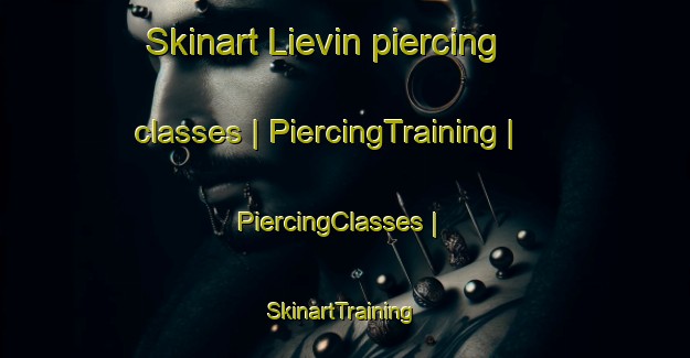 Skinart Lievin piercing classes | PiercingTraining | PiercingClasses | SkinartTraining-France